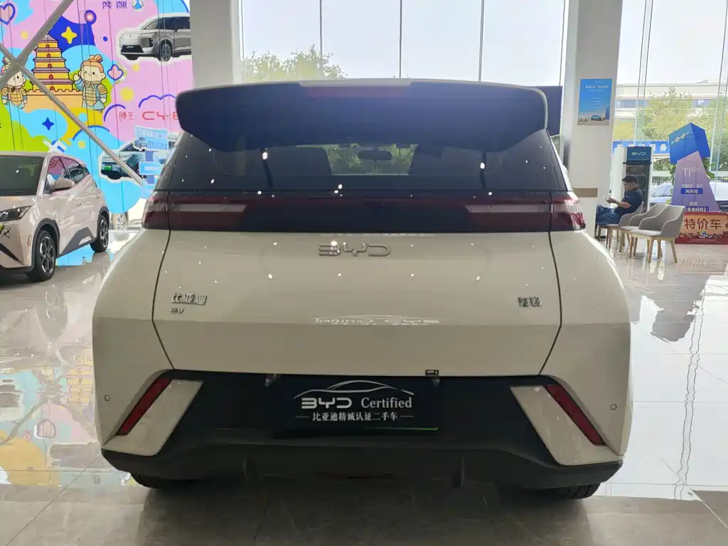 BYD Seagull 2024