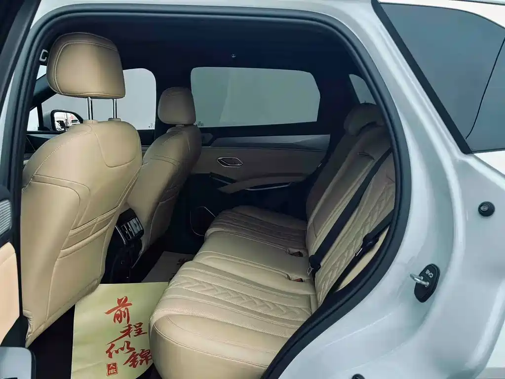 BYD L DM-i 2025 — фото 6