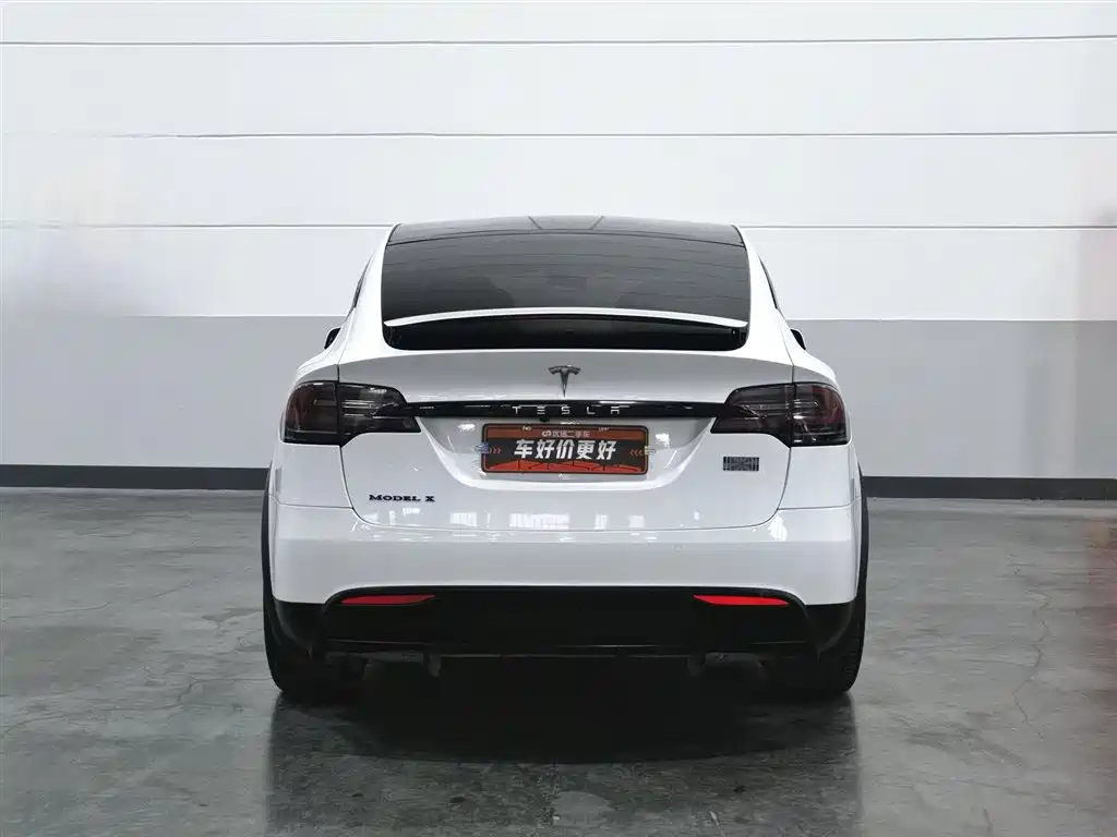 Tesla Model X 2017 — фото 4