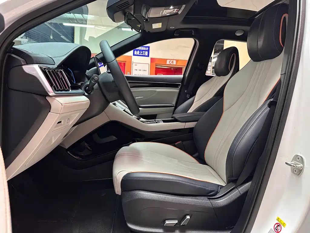 BYD Song PLUS New Energy 2022 — фото 13