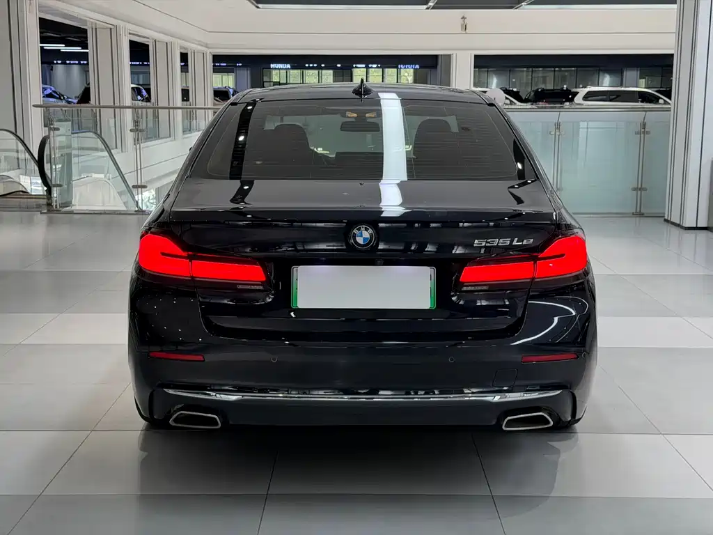 BMW 5 Series New Energy 2021