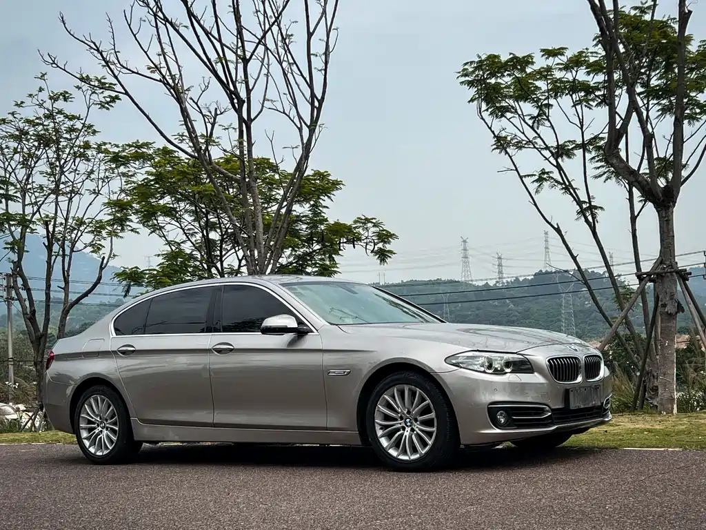 BMW 5 Series 2014 — фото 3
