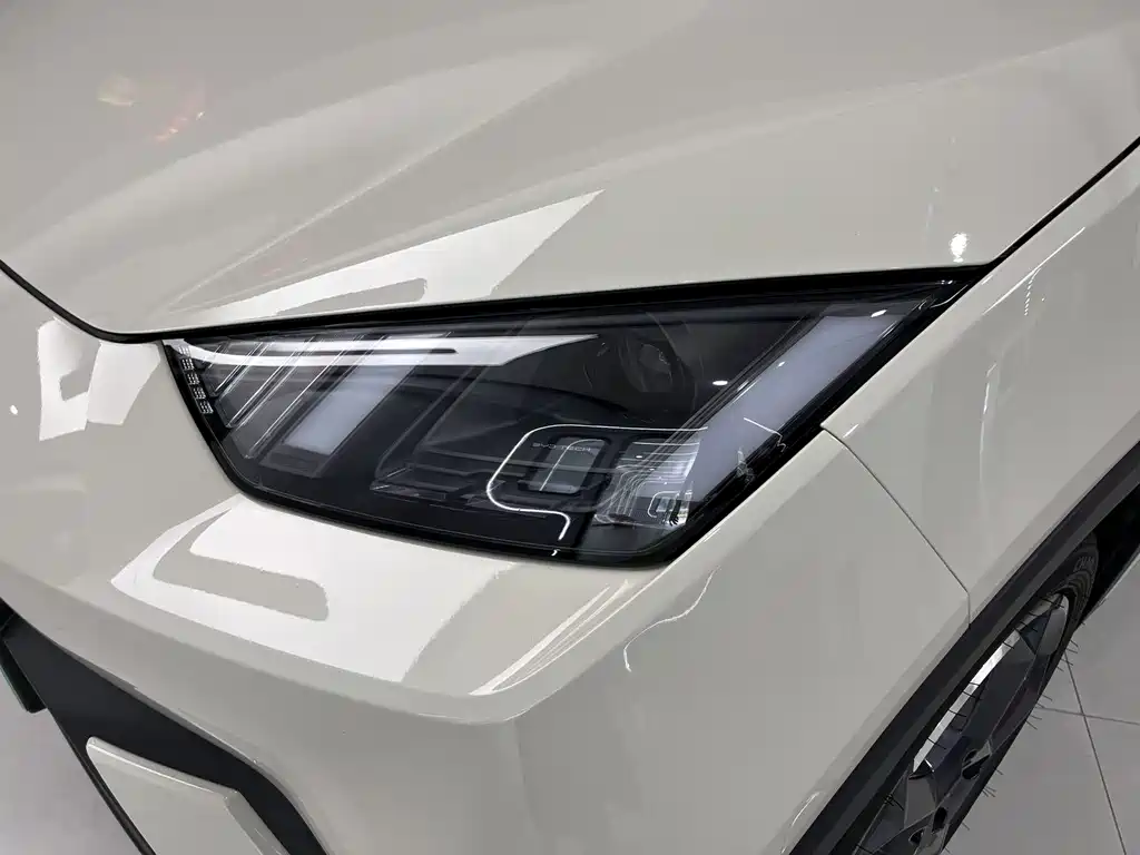 BYD Seagull 2024