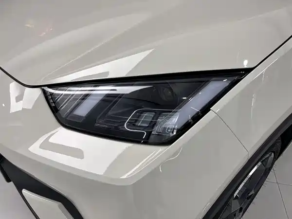 BYD Seagull 2024