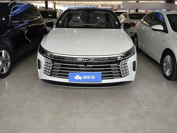 BYD Destroyer 05 2024