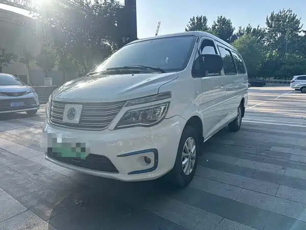 Dongfeng Lingzhi New Energy 2021
