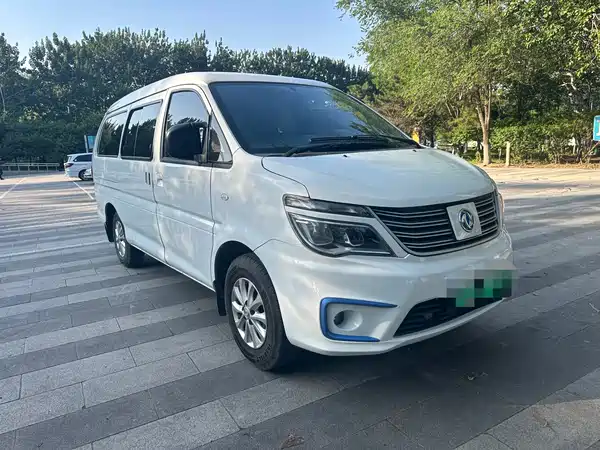 Dongfeng Lingzhi New Energy 2021