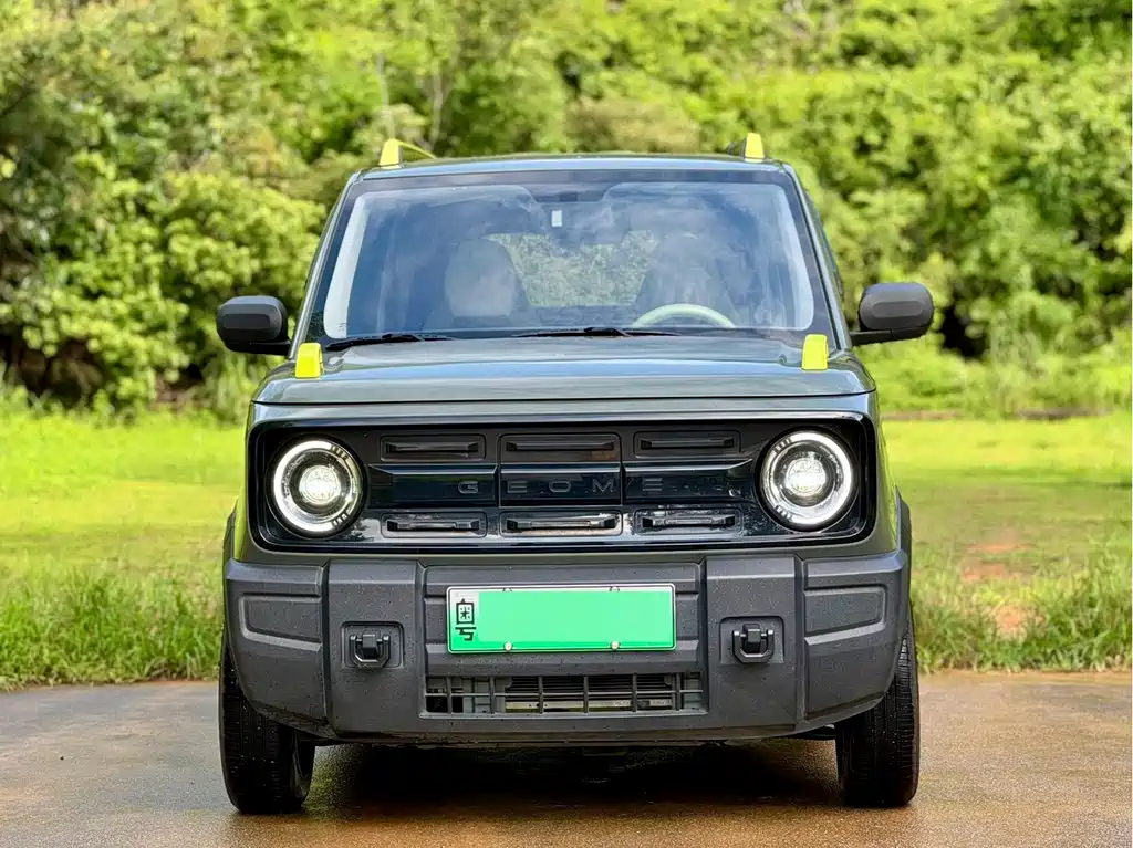 Geely Galaxy Panda 2024