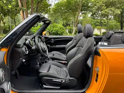 MINI MINI 2017