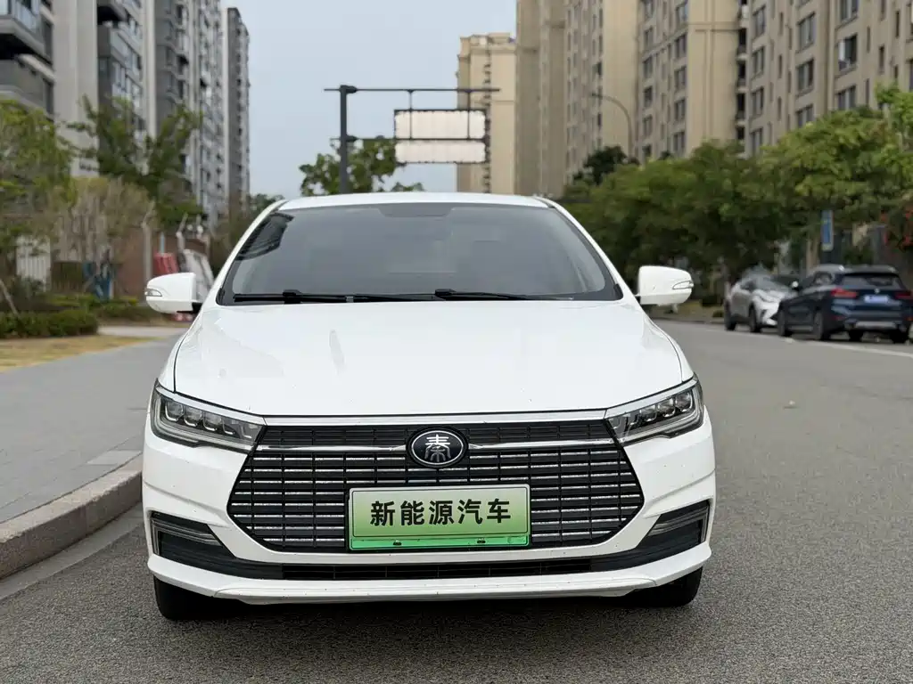 BYD Qin NEV 2020 — фото 2