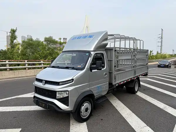 Farizon Long Range Sharp 2023