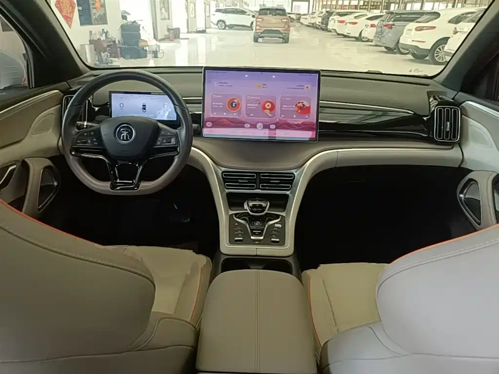 BYD Pro New Energy 2024 — фото 10