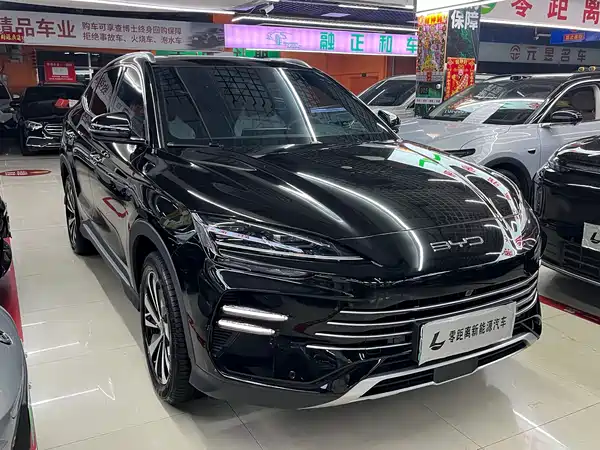 BYD Song PLUS New Energy 2024