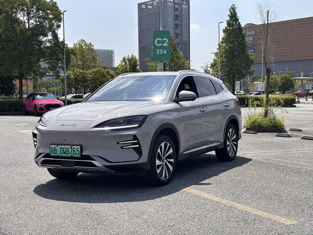 BYD Song PLUS New Energy 2024 — фото 1