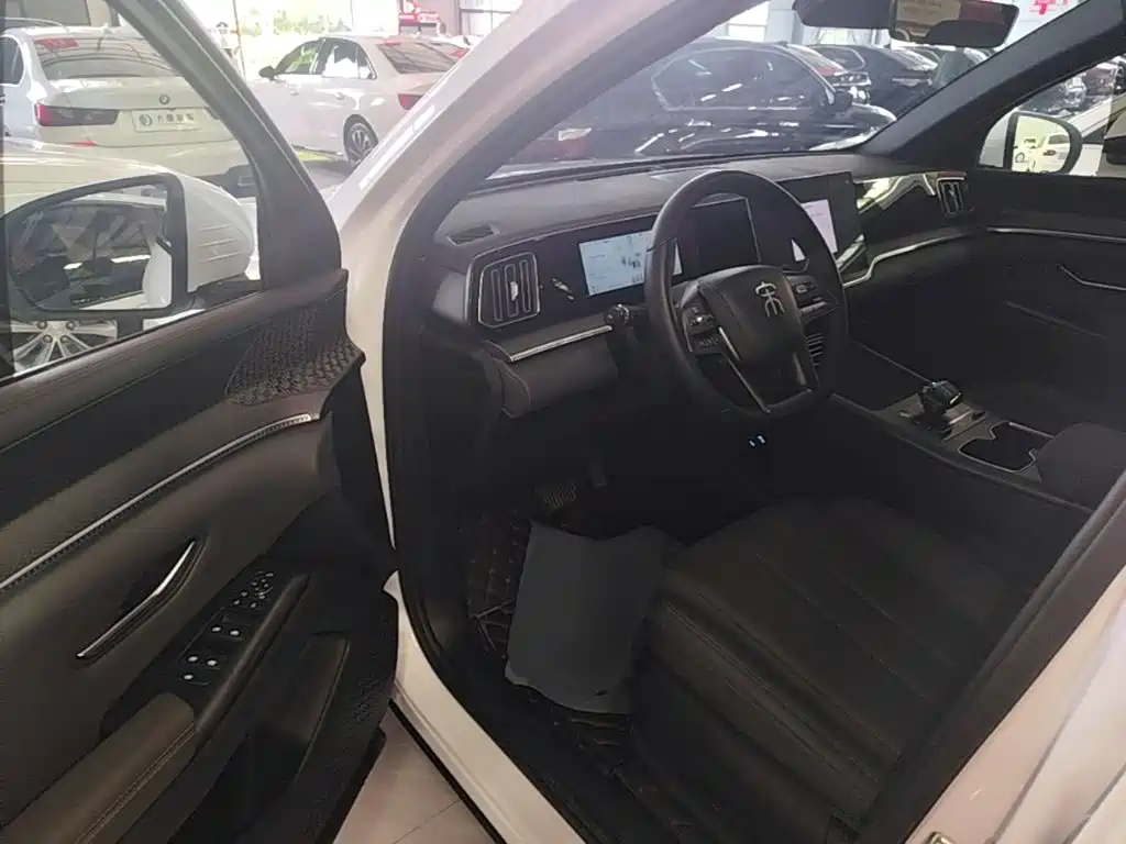 BYD Song Pro New Energy 2025 — фото 16