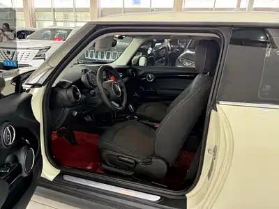 MINI MINI 2021
