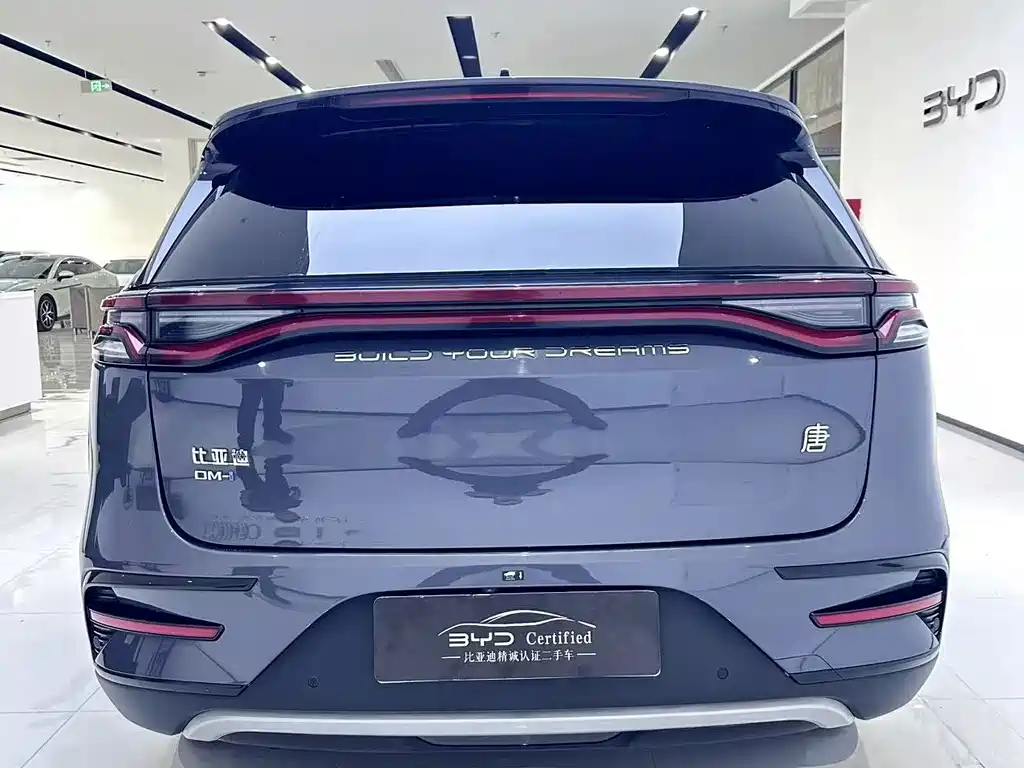 BYD Tang New Energy 2022 — фото 10