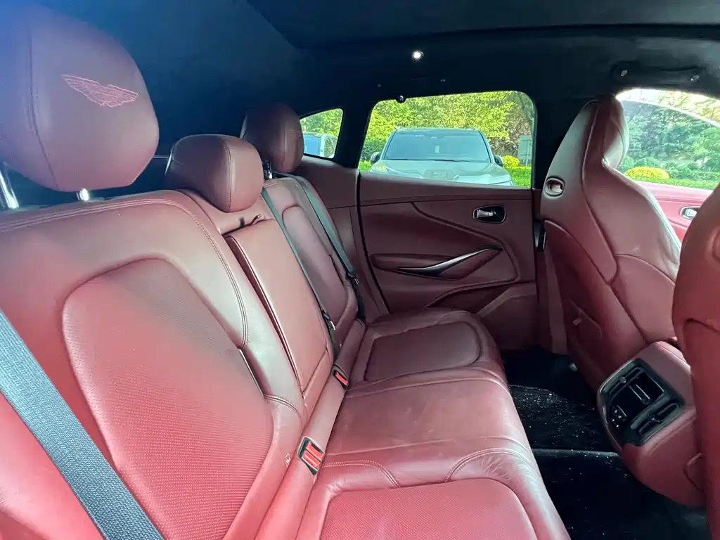 Aston Martin DBX 2021 — фото 12