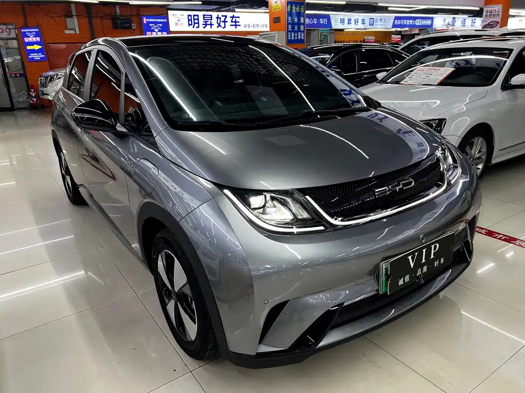 BYD Dolphin 2024