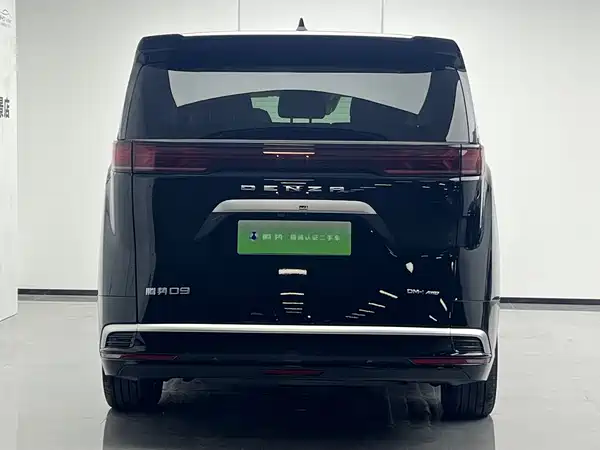 Denza D9 2025