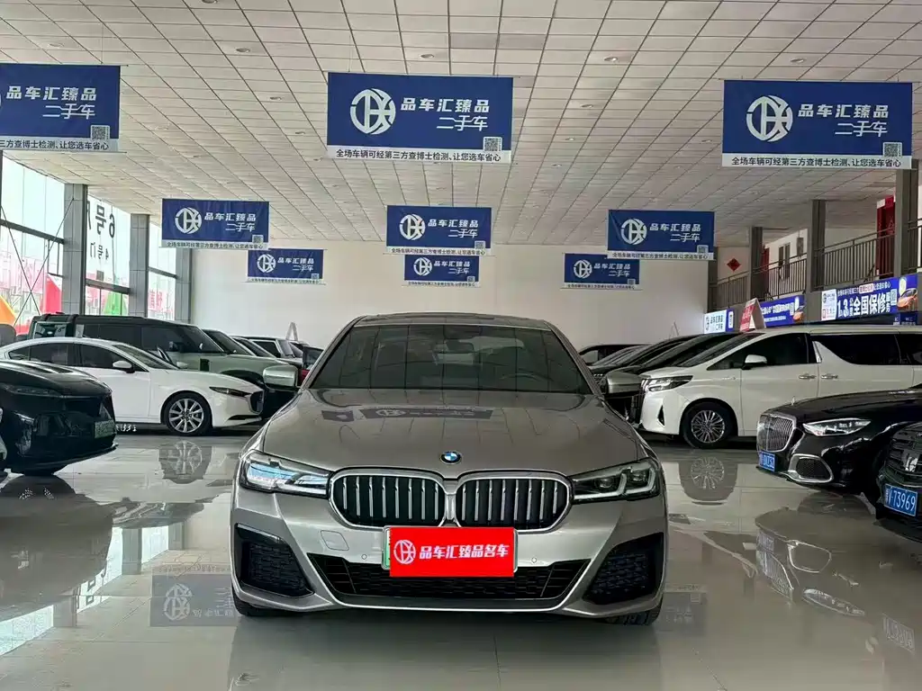 BMW 5 Series New Energy 2021