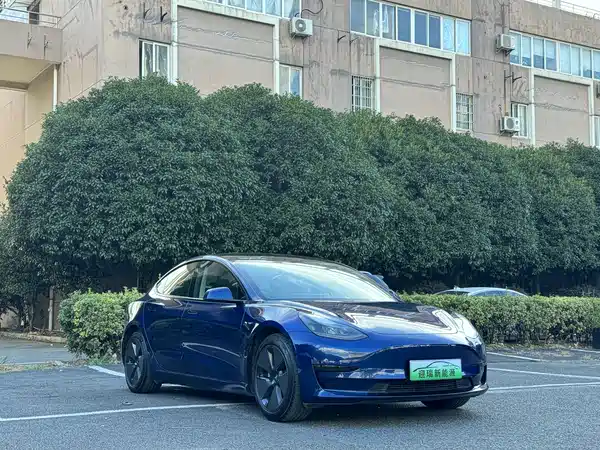 Tesla Model 3 2021