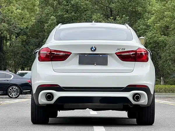 BMW X6 2015