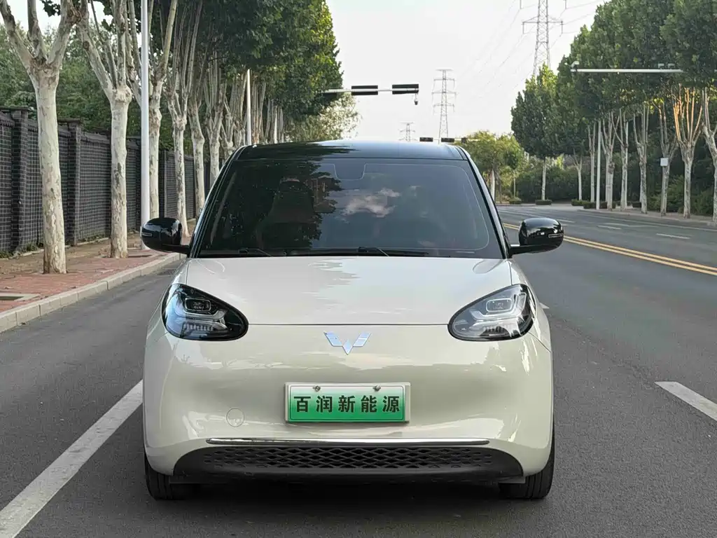 Wuling Bingo 2024