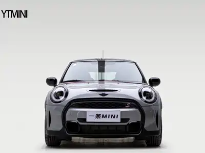 MINI MINI 2024