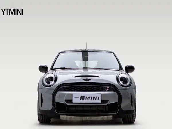 MINI MINI 2024