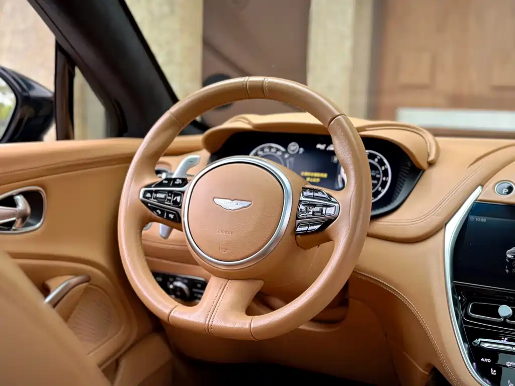 Aston Martin DBX 2020 — фото 16