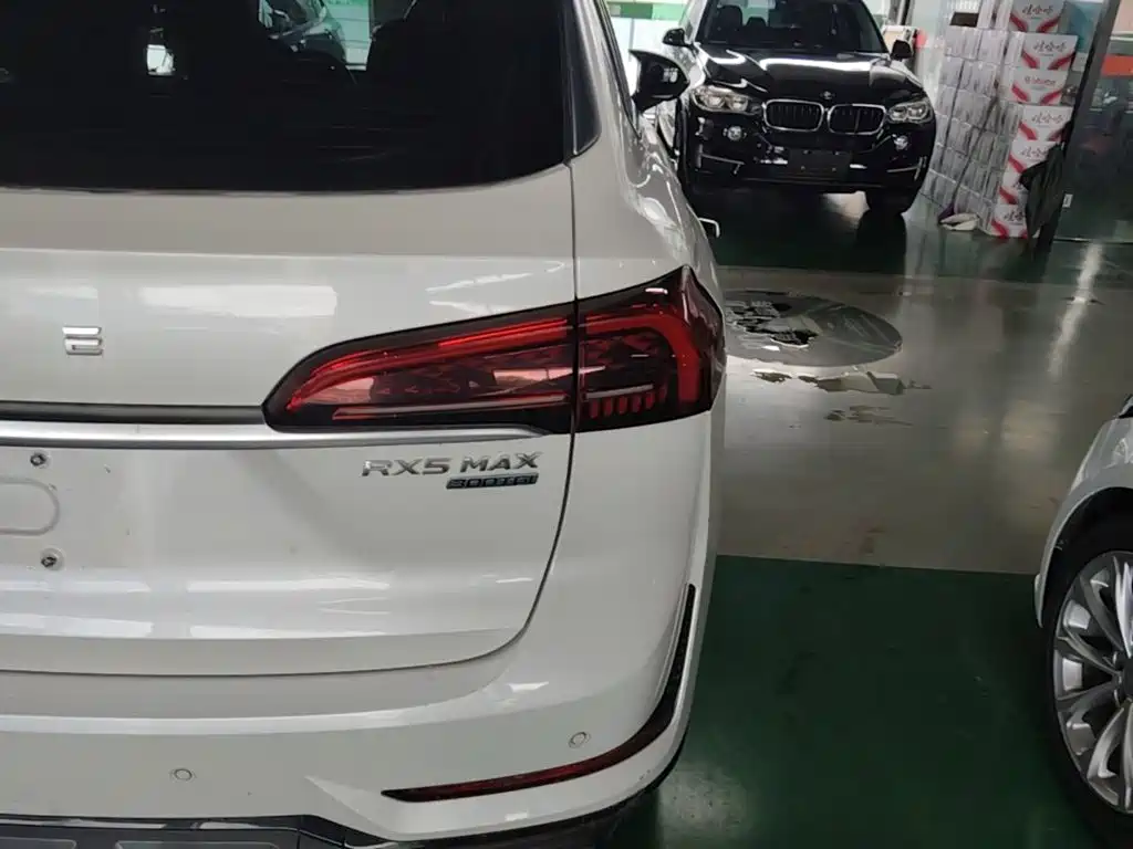 Roewe RX5 MAX 2022 — фото 8