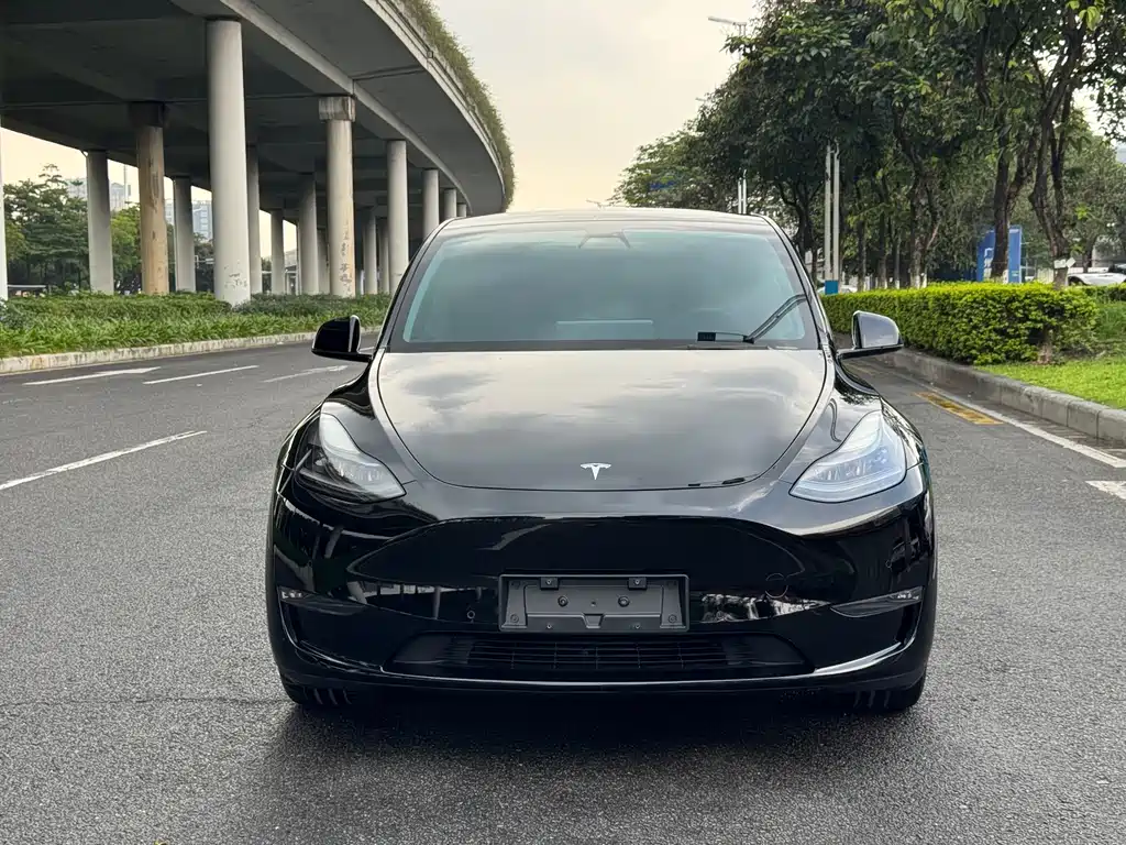 Tesla Model Y 2021 — фото 2