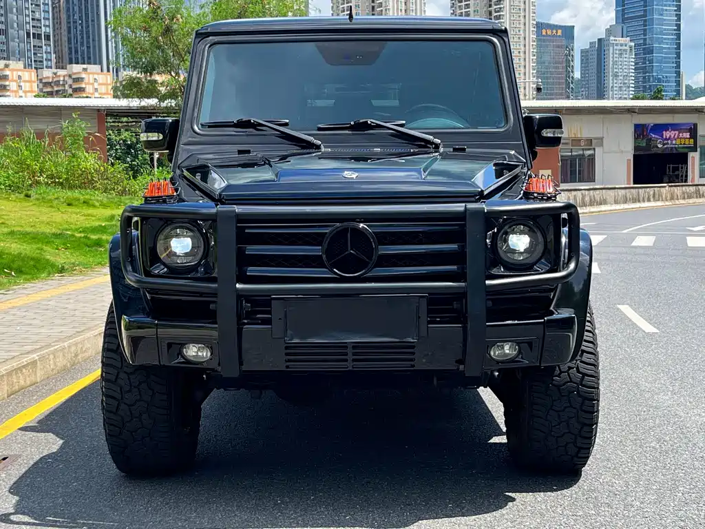 Mercedes-Benz G-Class AMG 2009 — фото 2