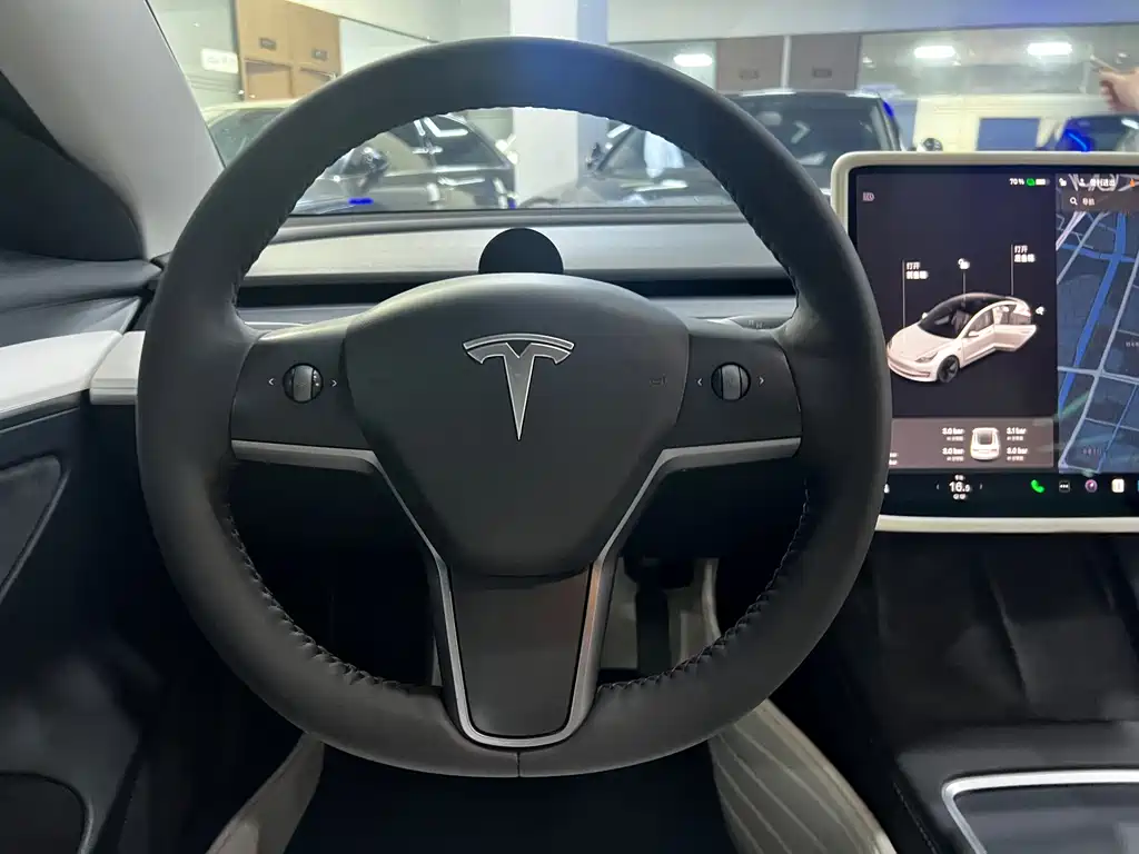 Tesla Model 3 2021 — фото 10