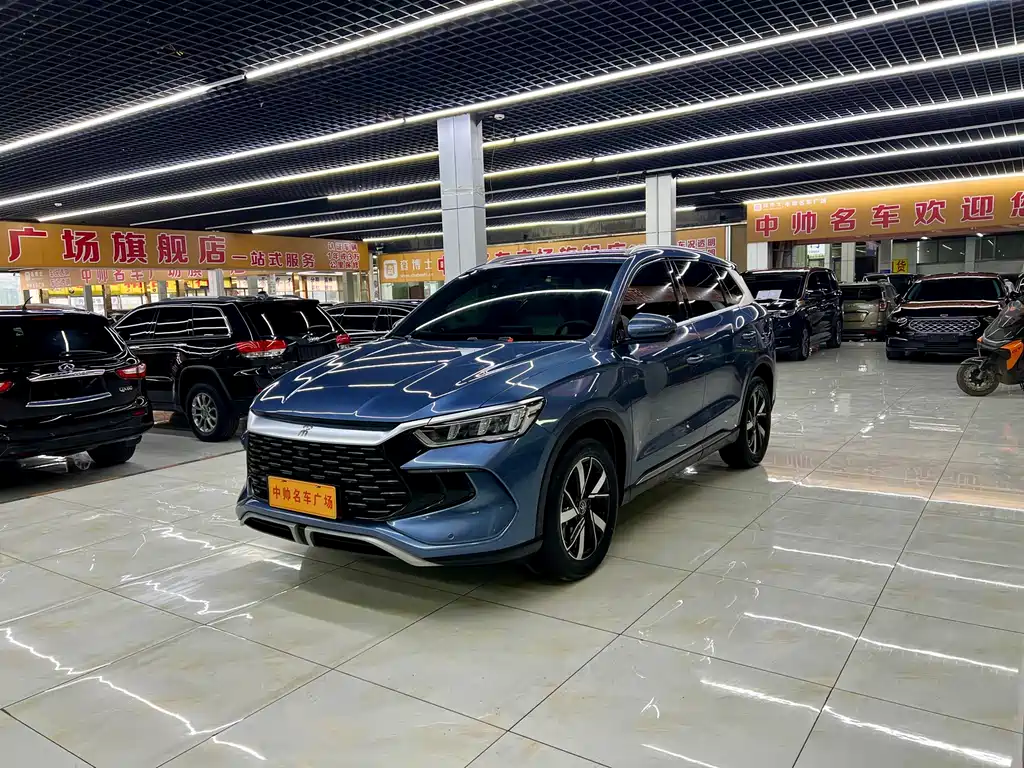 BYD Pro New Energy 2024 — фото 1