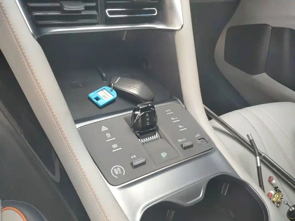 BYD Song PLUS New Energy 2024 — фото 10