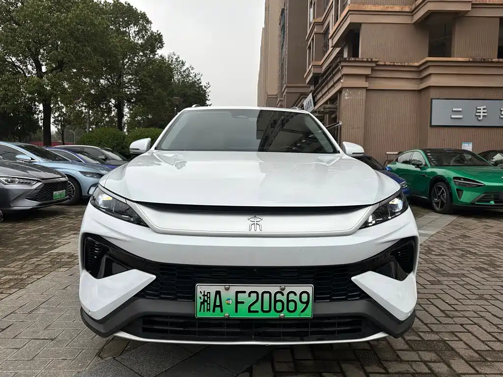 BYD Pro New Energy 2025 — фото 2