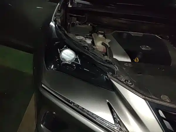 Lexus NX 2019
