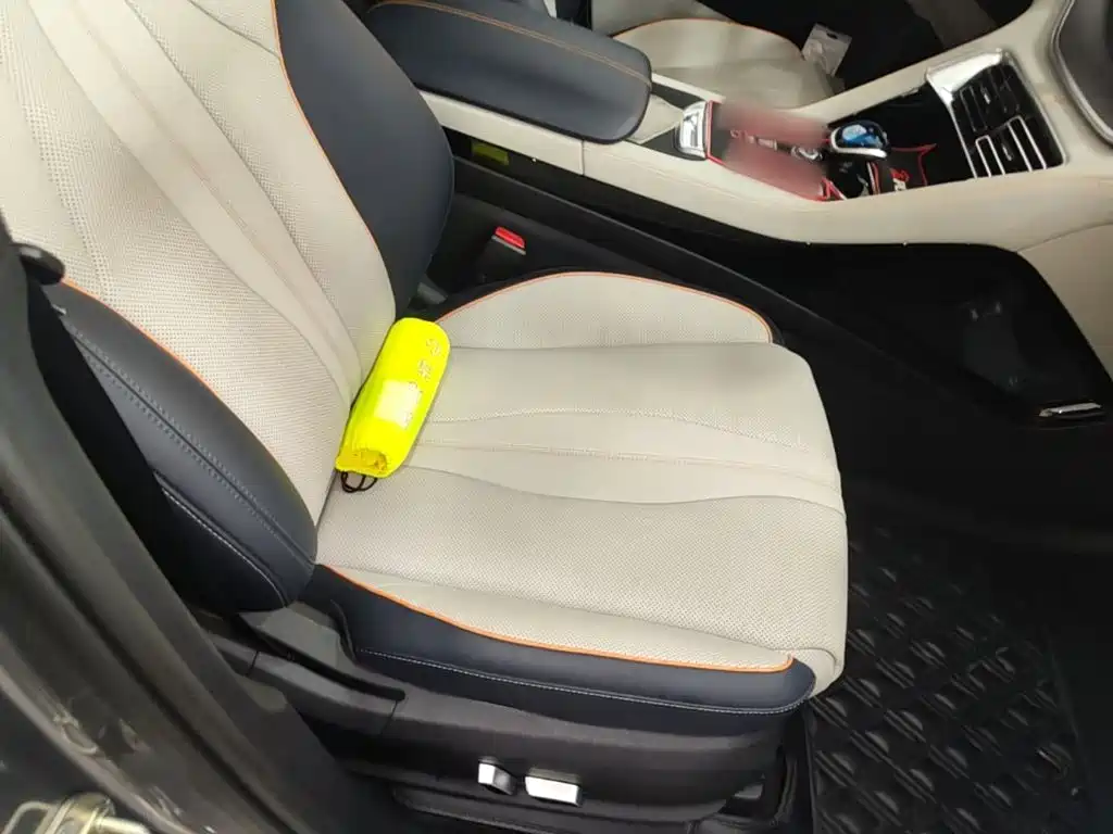 BYD Song PLUS New Energy 2022 — фото 25