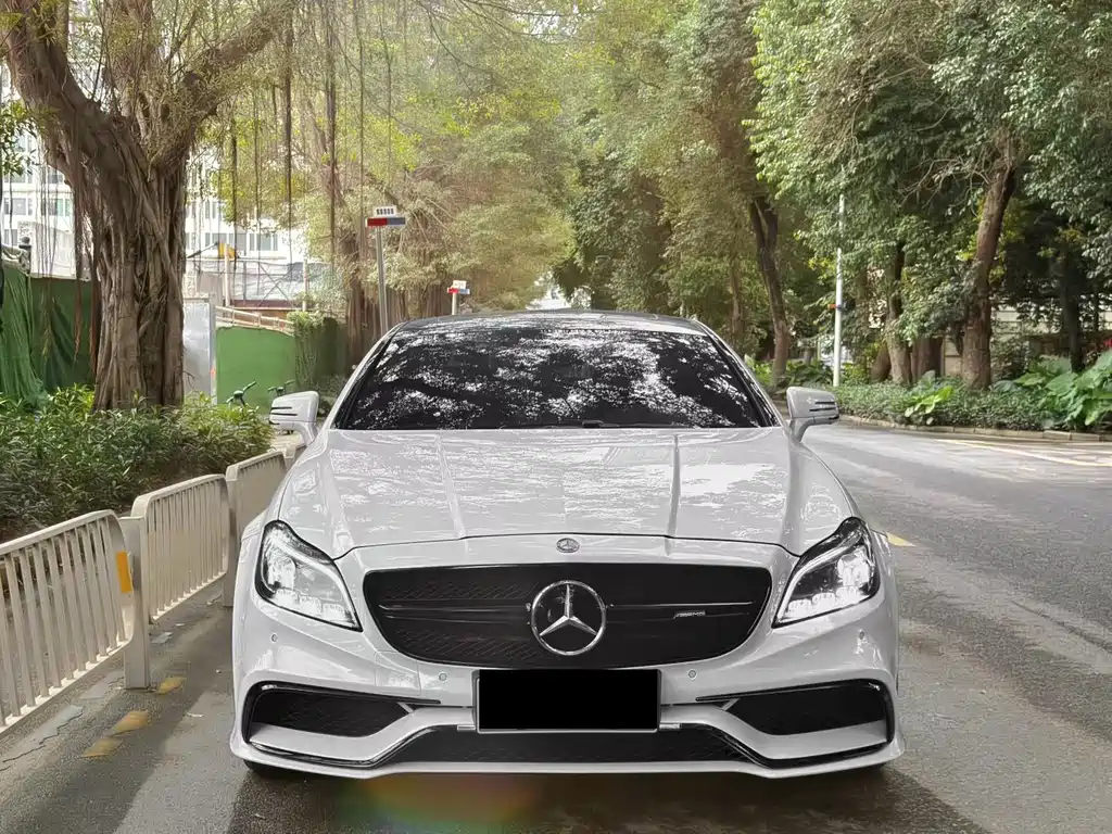 Mercedes-Benz CLS AMG 2016 — фото 2
