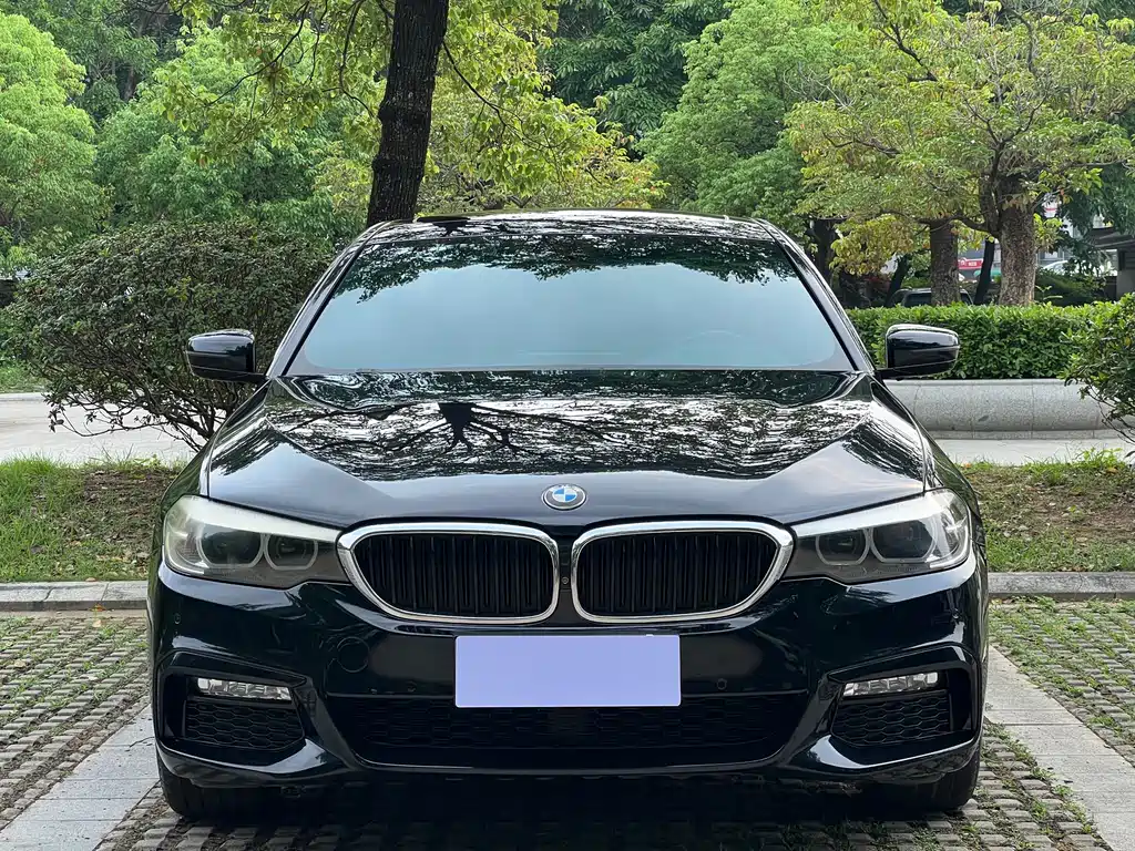 BMW 5 Series 2017 — фото 3