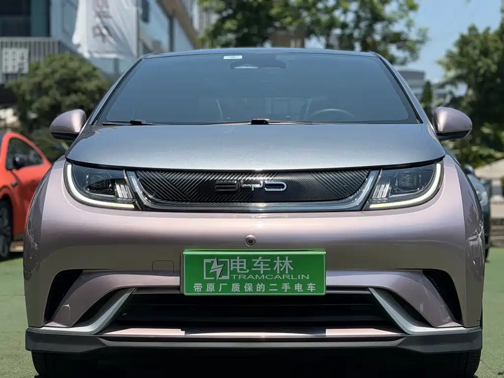 BYD Dolphin 2021