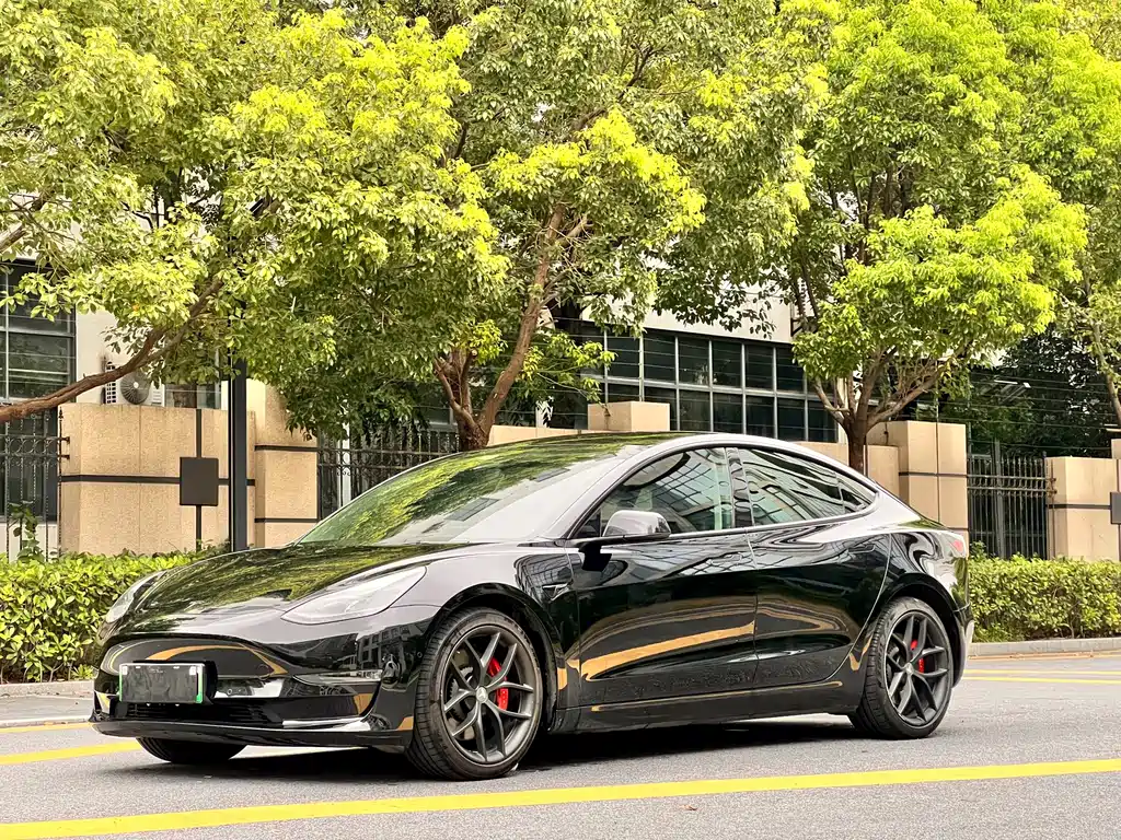 Tesla Model 3 2021 — фото 1