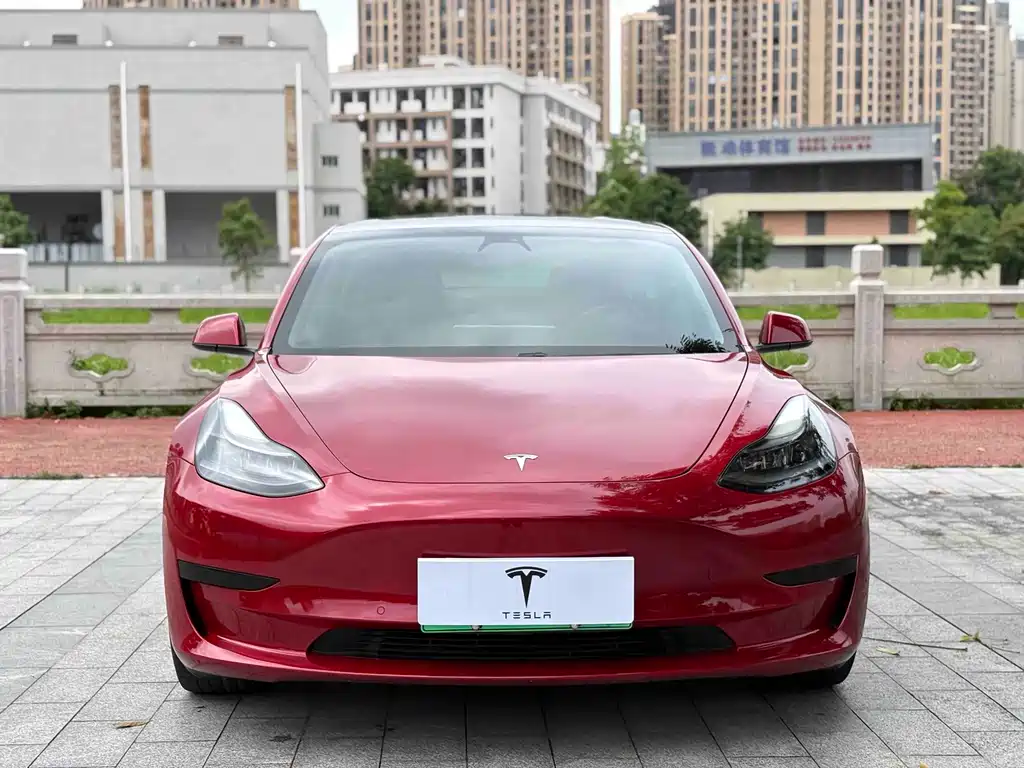 Tesla Model 3 2021 — фото 2