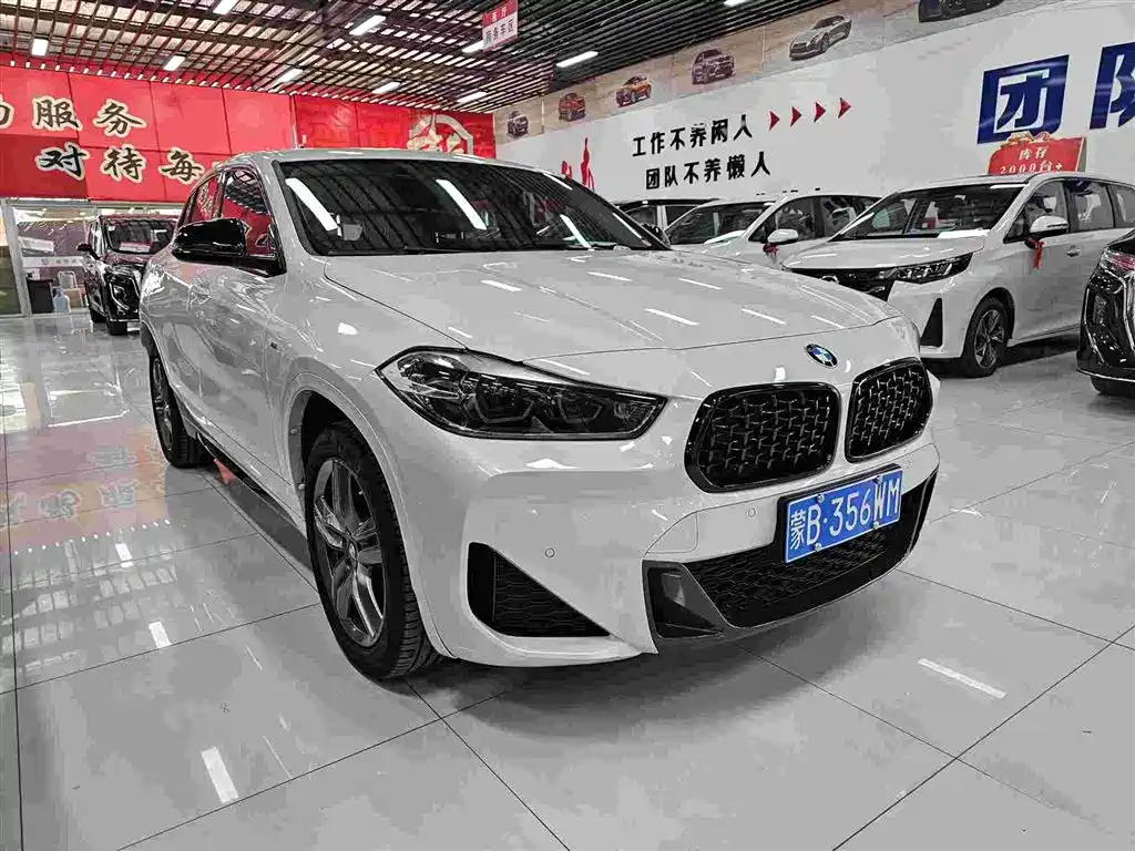 BMW X2 2023 — фото 6