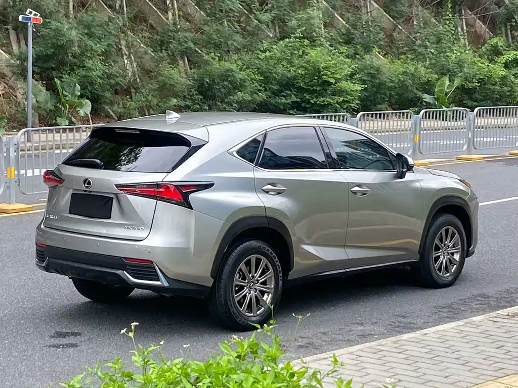 Lexus NX 2020 — фото 9