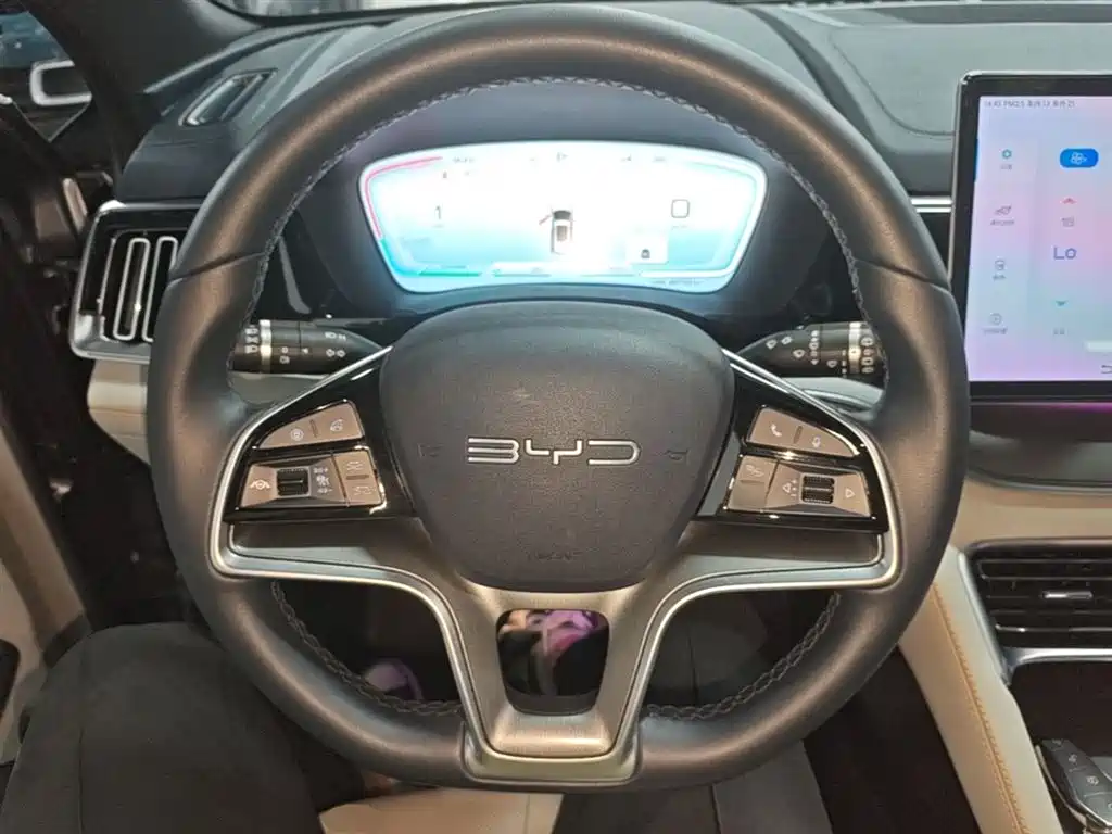 BYD PLUS New Energy 2024 — фото 11