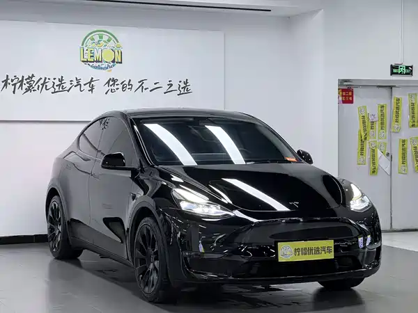 Tesla Model Y 2021