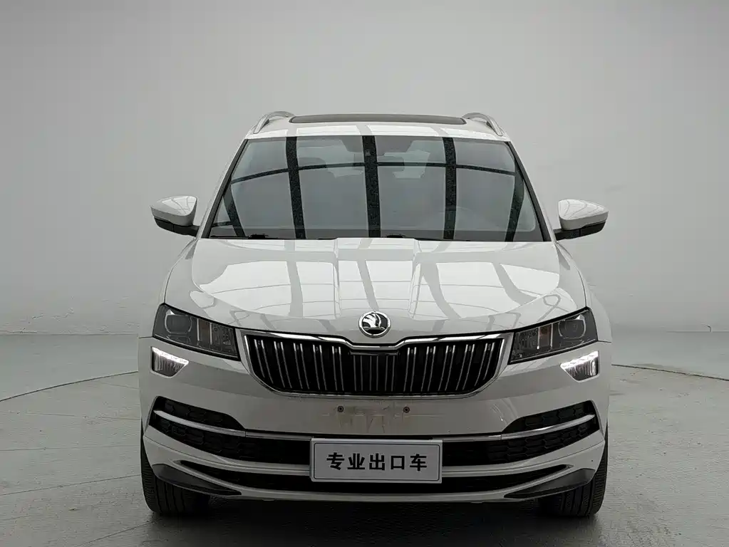 Skoda Karoq 2024 — фото 2